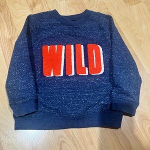 Boys pullover sweatshirt with fuzzy WILD letters